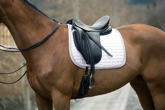 Benötigt mein Pferd ein Sattelpad/ eine Schabracke?